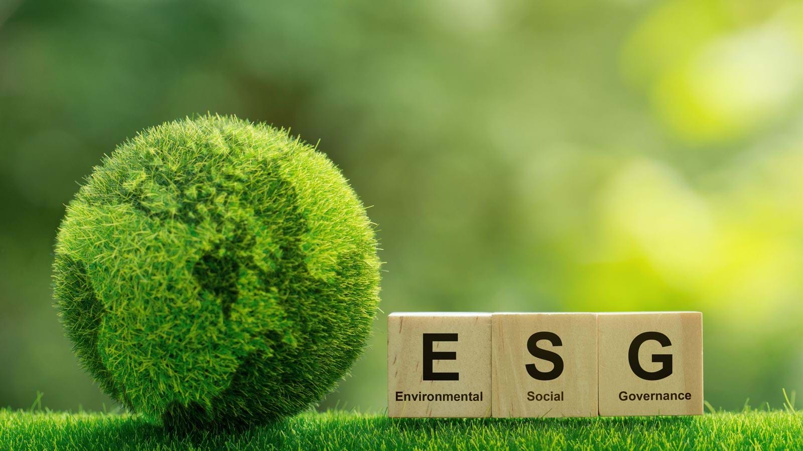 Image for ESG: Ethical Investing or Fad Finance?